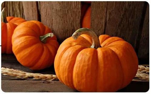 聊城白吊瓜今日价格,市场行情实时解析