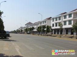 安福瓜乡今日新闻,丰收盛景映照乡村振兴新画卷