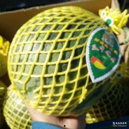 小凤瓜批发价今日,价格波动背后的市场动态”