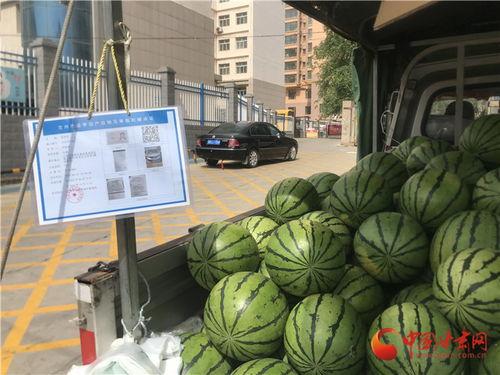 商品街今日有什么瓜,新鲜瓜果，尽享丰收盛宴