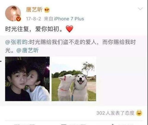 明星网红对比图文案,揭秘两者图文案的差异化魅力