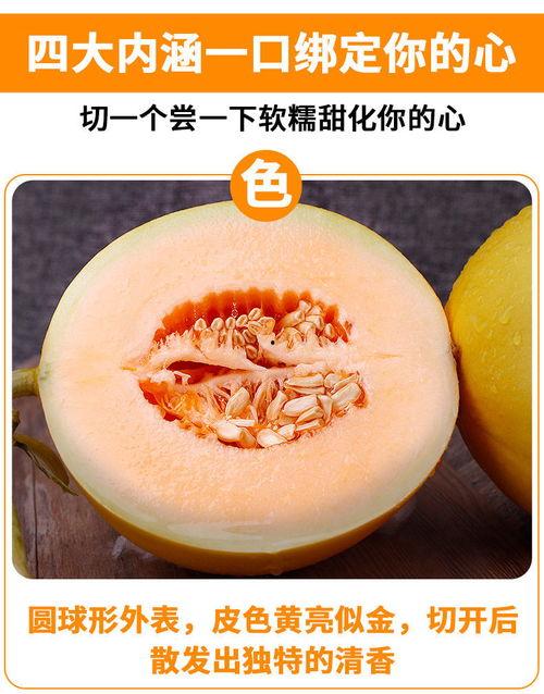 黄河蜜瓜今日价格多少,市场行情一览”