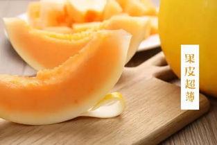 黄河蜜瓜今日价格多少,市场行情一览”