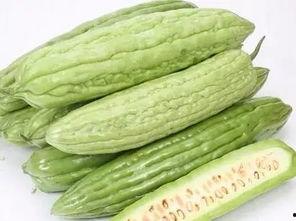 广东今日白瓜最新价格,新鲜上市，价格走低！”