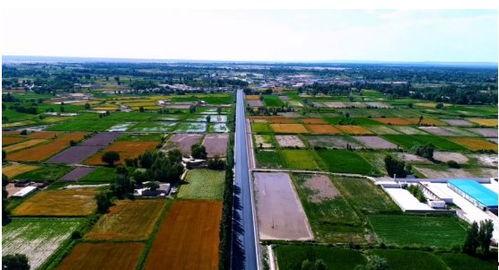 瓜州乡今日新闻