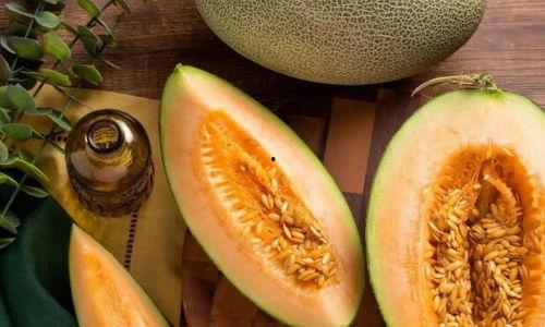 寿光哈密瓜今日价,价格行情一览”