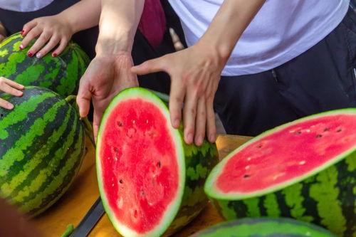 柳州今日吃瓜事件视频,一场网络热议的真相揭秘