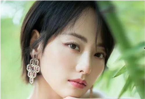 临沂大明星网红,崛起于鲁南的互联网新势力