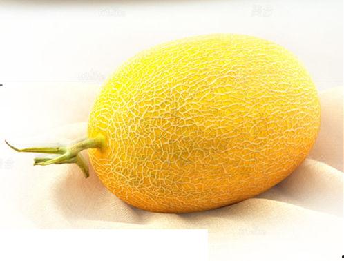 今日北海哈密瓜价格,今日行情一览”