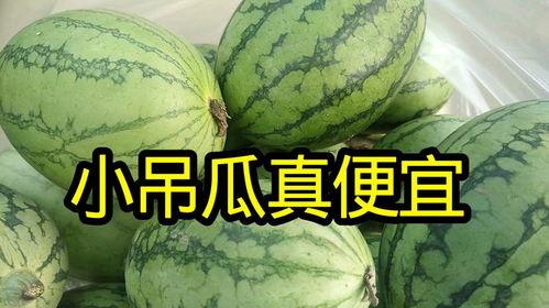 今日吊瓜多少钱,了解吊瓜最新售价