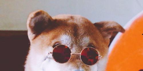 非洲黑哥带你吃瓜,非洲黑哥带你领略非洲特色美食之旅