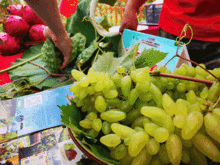 向塘梨瓜今日价格,品质佳，价格稳