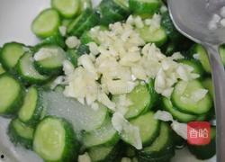 小圆瓜今日价格表,市场行情一览