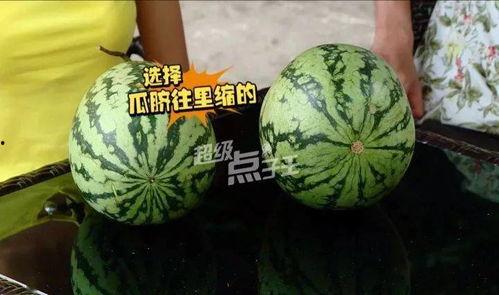 小圆瓜今日价格表,市场行情一览