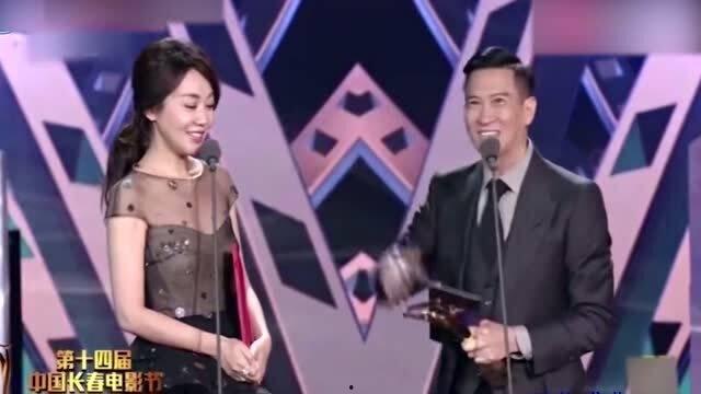 明星网红调侃博士的话,你的学历比我的头发还长！