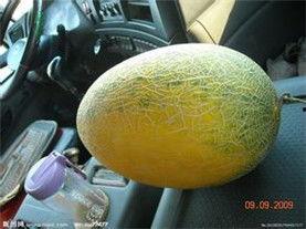 哈密瓜产地今日价,新鲜上市，价格行情一览”