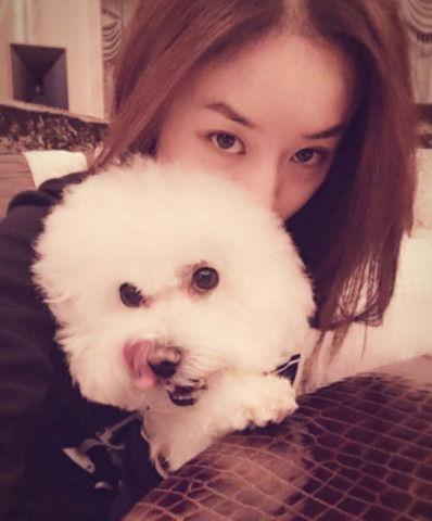 明星网红宠物是谁,揭秘人气宠物的明星效应