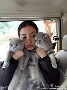 明星网红宠物是谁,揭秘人气宠物的明星效应