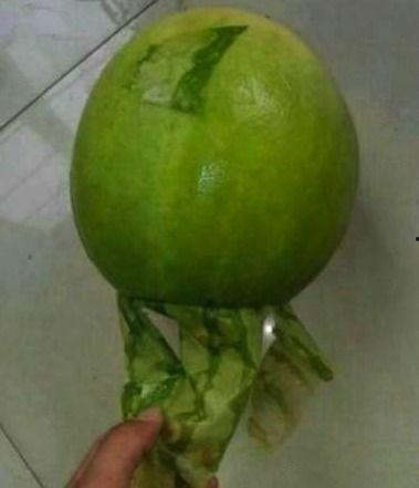 吃瓜各种热门事件最近一周,吃瓜群众聚焦的十大热门事件盘点