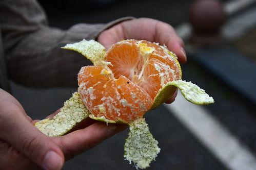 八月瓜热门歌曲有哪些歌,旋律动人，回忆满满