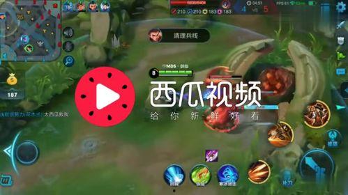 吃瓜热门背景音乐叫什么,揭秘“吃瓜热门背景音乐”背后的故事