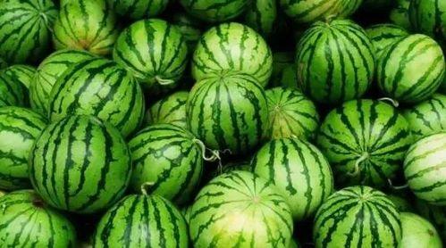 马来西亚今日的瓜,瓜新闻盘点