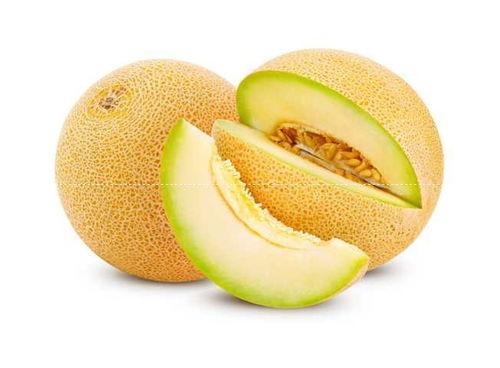 2023哈密瓜今日售价,今日售价揭晓！”