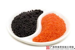 51cg热门今日吃瓜鱼子酱,今日吃瓜鱼子酱，揭秘网红美食背后的故事