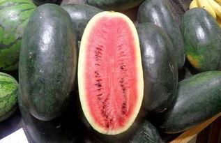 51cg4吃瓜群众黑料,网络舆论背后的真相