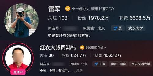 网红热门大瓜视频下载安装,下载安装背后的秘密与技巧