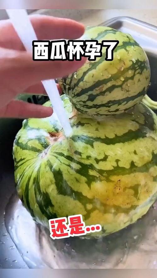 黑妹搞笑视频吃哈密瓜,哈密瓜大挑战，笑果满满！