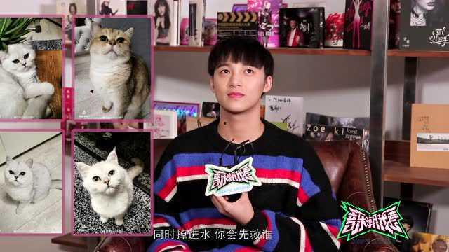 近期明星网红搞笑视频,笑点满满！近期明星网红搞笑视频大盘点