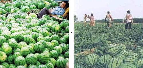 前两天的热门吃瓜事件,真相与反转背后的故事