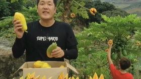 听说吃瓜就是吃有黑籽的,揭秘吃瓜乐趣与营养奥秘