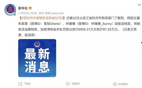 明星网红偷逃税