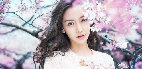 有绯闻的明星网红