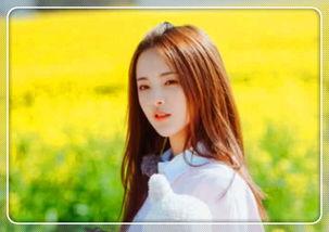 明星网红小区拍照儿童