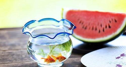 吃瓜黑桶,探寻神秘现象背后的真相