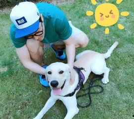 娱乐圈吃瓜小狗小说免费阅读,吃瓜小狗的甜蜜复仇之旅