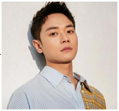 男明星网红变演员,男明星的华丽蜕变之路