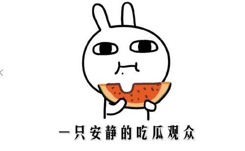 快手网红黑料吃瓜网免费