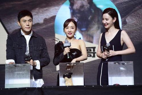 娱乐圈吃瓜爆料 汇总最新,揭秘明星背后的故事与真相