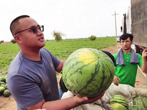 永康吃瓜最新事件爆料新闻