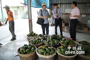 永康吃瓜最新事件爆料新闻