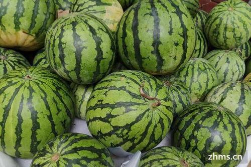 黑瓜吃瓜官网,揭秘娱乐圈幕后故事，带你领略明星真实生活