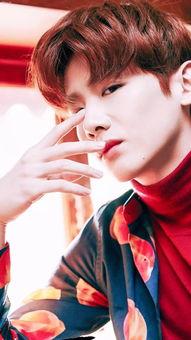 明星网红手机壁纸图片,捕捉明星风采的瞬间