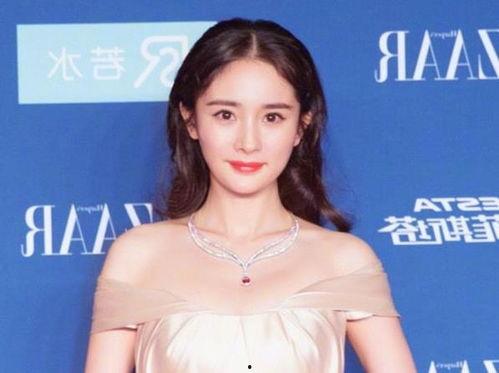 从来不追明星网红,拥抱真实生活