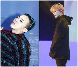 什么是明星网红推广,如何打造爆款影响力