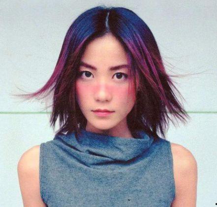 所有的明星网红们,璀璨星光下的网络影响力解析