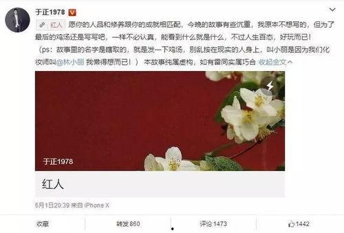 明星网红界限有哪些